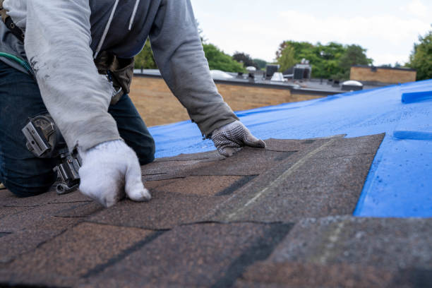 Best Roof Insulation Installation  in Gretna, FL